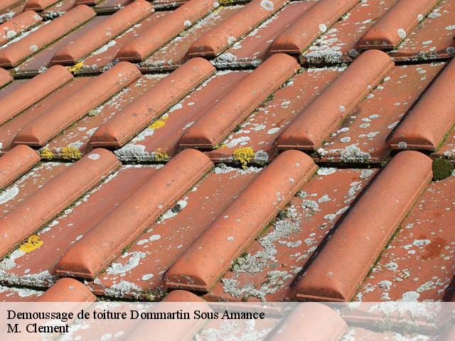 Demoussage de toiture  54770